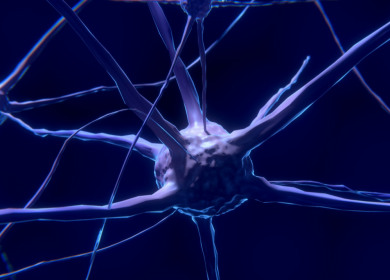 Neurofeedback para la Epilepsia